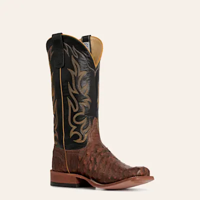 Anderson Bean Dark Brown Full Quill Ostrich & Black Cutter Toe Boots